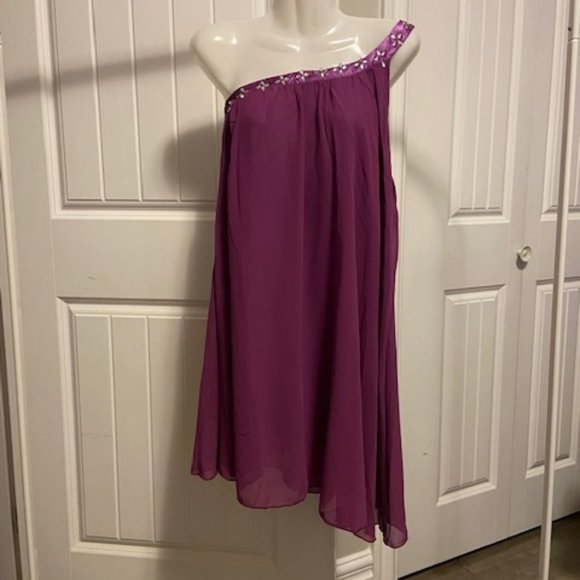 Dresses & Skirts - Purple/Mauve Off Shoulder Sheer Dress Size S